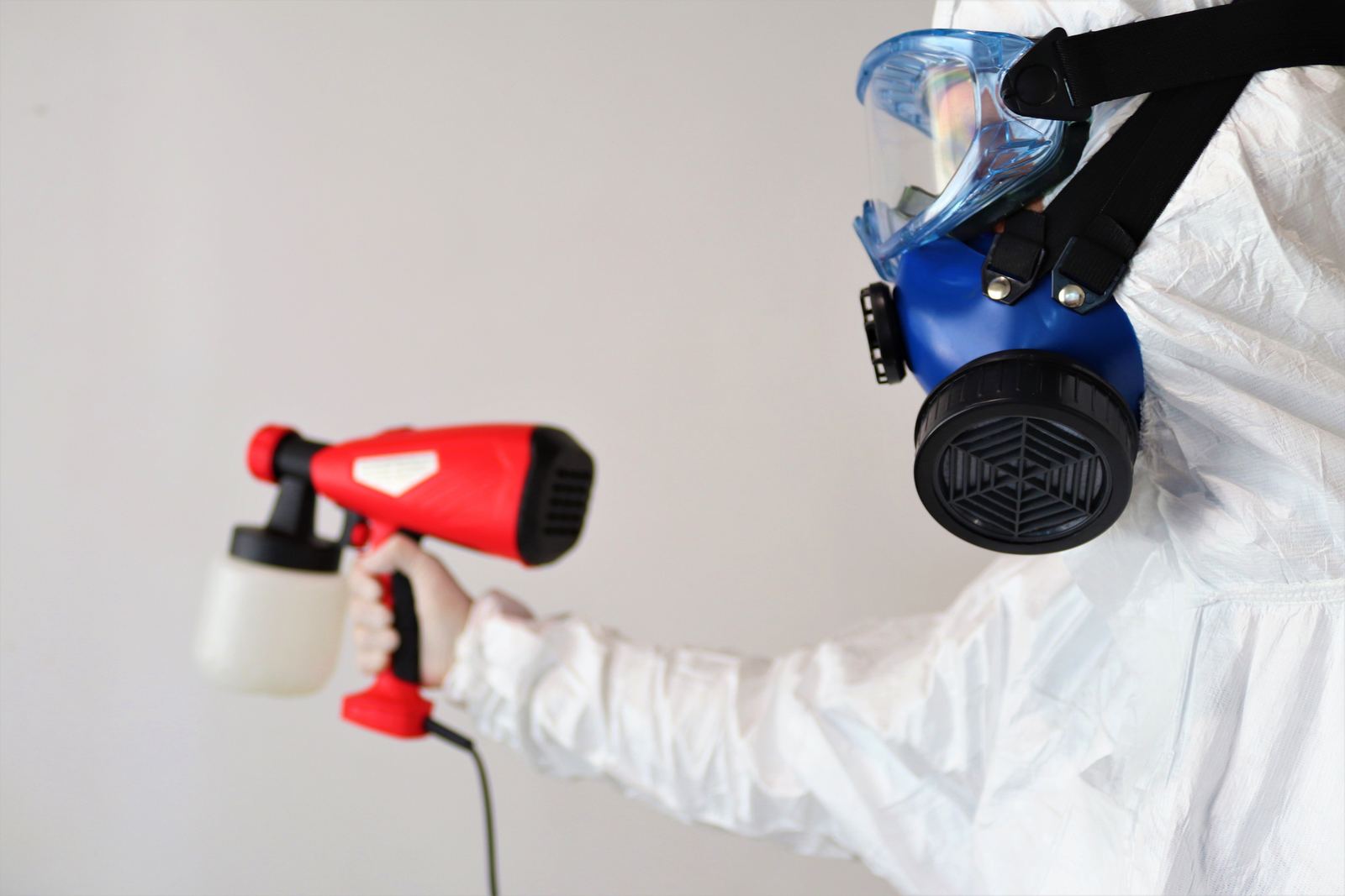 Licensed local tradespeople handling mould removal in Wollongong & the Illawarra